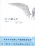 划过星空的WISH