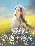 爱终消逝于寒夜